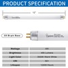 Wesome Lighting 8 Pack 12 Inch F8T5/WW Fluorescent Light Bulb,