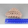 Brown leaf hair clip claw butterfly clamp 3 5/8 inches