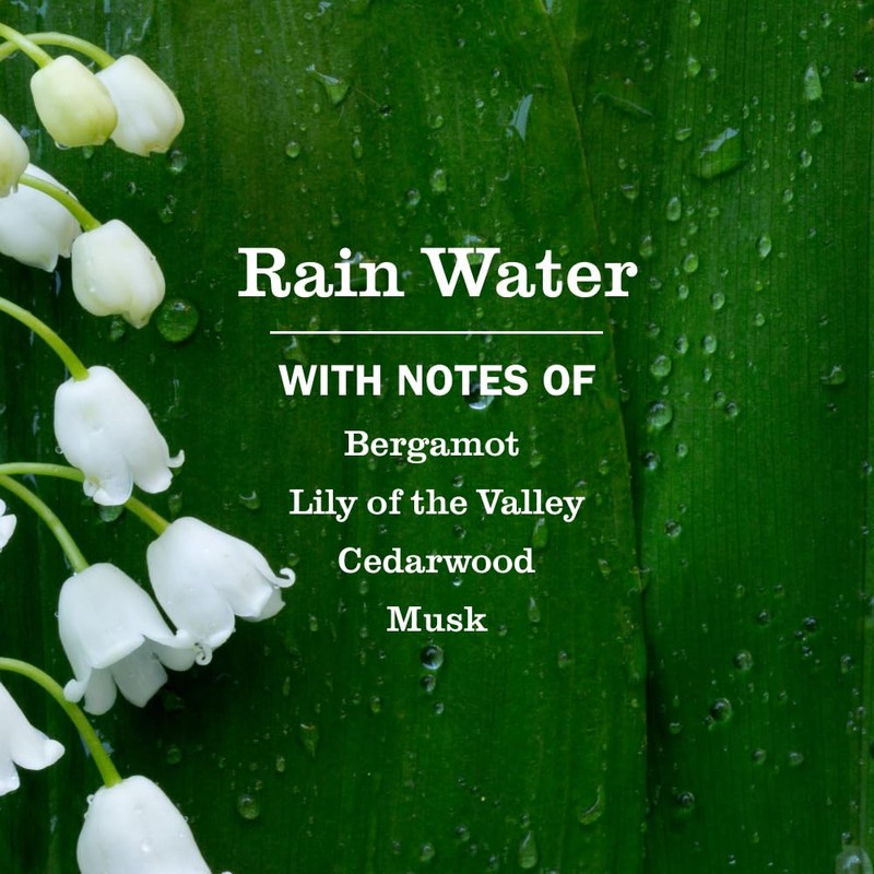 MRS. MEYER'S CLEAN DAY Hand Soap, Rain Water Scent, 12.5