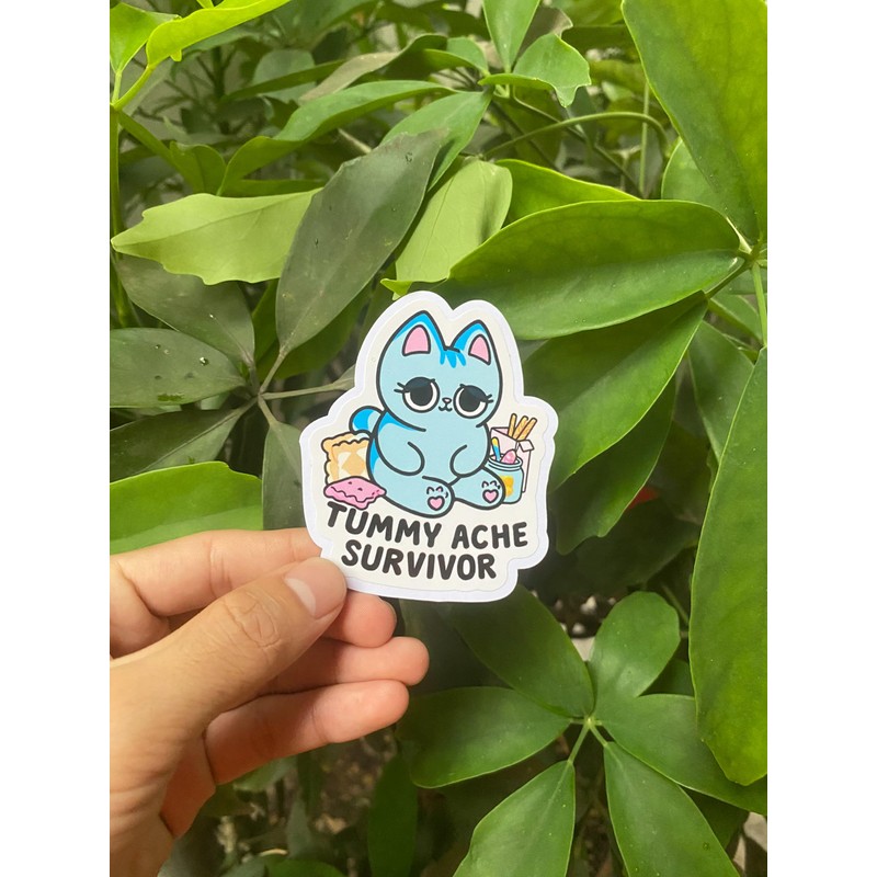 Pack 3" Tummy Ache Survivor Cute Cat Sticker Meme Funny
