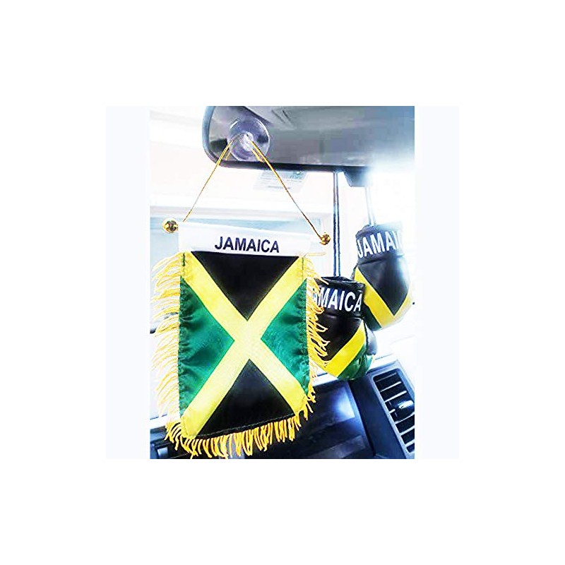 Rainbow Trading Jamaican Flag and Mini Boxing Gloves Combo Set