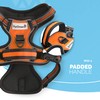 FurDreams Dog Harness – Secure Padded Vest Harness, Comfortable Material