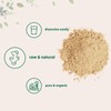 Micro Ingredients Organic Ginger Powder
