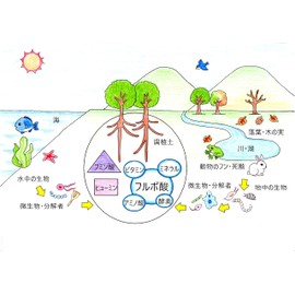 fúlvico マウスウォッシュ 国産天然フルボ酸100% 除菌・消臭剤 腐植土抽出物（フルボ酸 ） (200ml)