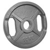 POWER EXTREME Cast Iron Weight Plates with 2 Grip Holes,