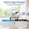Genuine CHIVALZ MR2588 Air Purifier Replacement Filter, 1 Pack, Original