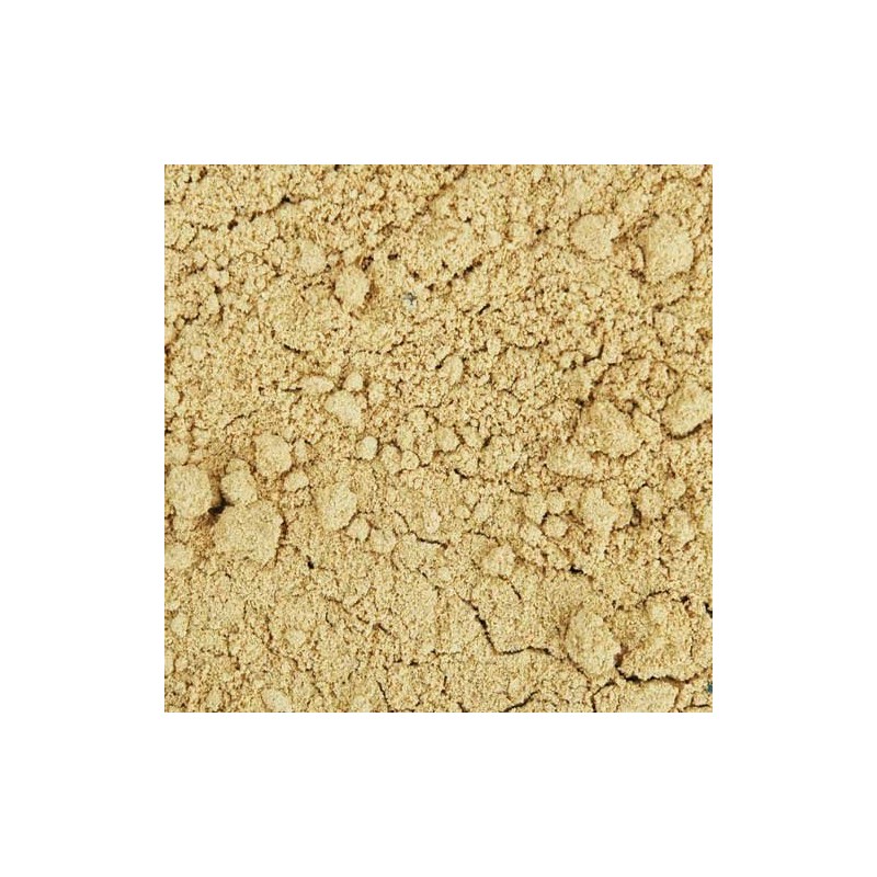 Indus Organics Coriander Seeds Powder, 1 Lb Jar, Premium Grade,