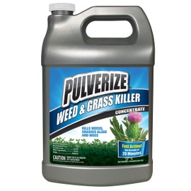 Pulverize Weed and Grass Killer, All Natural, Fast Acting, Non-Staining, Safe for People and Pets, Herbicide for Moss, Algae, Weeds, and Grass, Concentrate - 1 Gallon