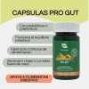 Pro Gut Blen Cápsulas Probioticos Prebioticos Digestivo 60pz Sin Sabor