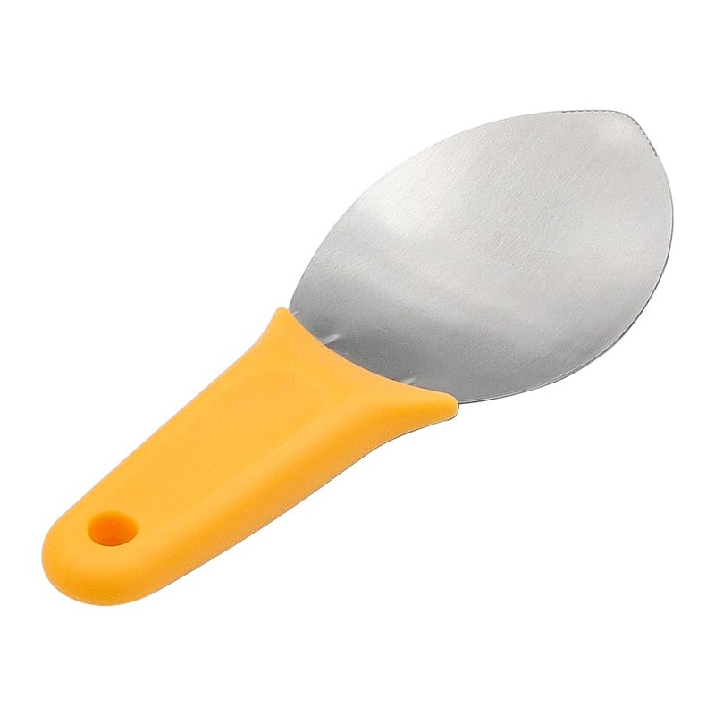 CENPEK Multi-Purpose Mango Slicer Spoon,Stainless Steel Mango Slicer Spoon,Fruit Pit
