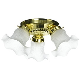 Boston Harbor F6BB03-22013L 5988936 Dimmable Ceiling Light Fixture, (3) 60/13 W Medium A19/Cfl Lamp, Polished