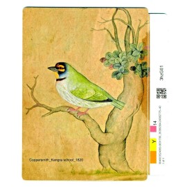 kb-limitededs fine art magnets 4x5.5 inch_limited edition-shippi