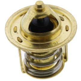 Unbranded Thermostat Water Ø38 CT491TV CT344 for Carrier Transicold Maxima 1300 Maxima1200