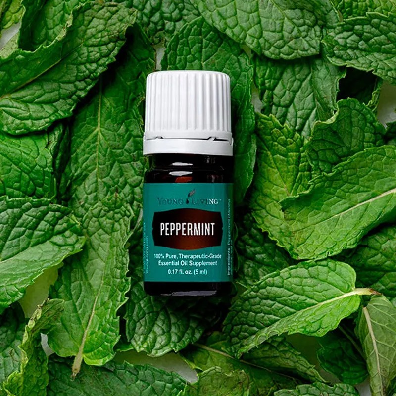 Aceite Esencial Para Difusor De Menta Verde 5ml Young Living