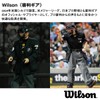Wilson WTA6796BL Chest Protector Replacement Harness Baseball Hard Replacement Protector