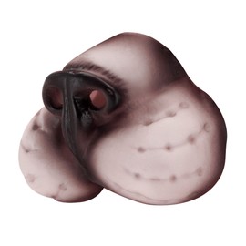 Cat Nose Accessory for Animal Fancy Dress