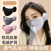 Unisex Winter Warm Mask with Integrated Windproof Face Shield & Plush Ear Protection One Size/Dark Gray (Thick Plush Lined) 20ea