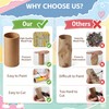 Dewgot 90 Pcs Cardboard Tubes for Crafts 2 Size Empty
