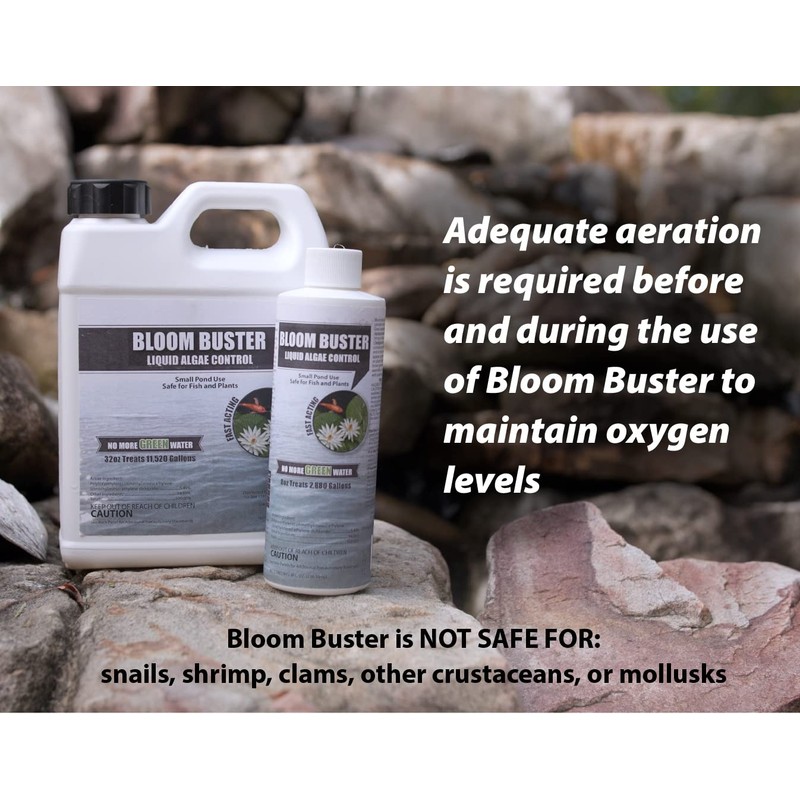 Bloom Buster Algae Control for Fish Ponds & Water Gardens