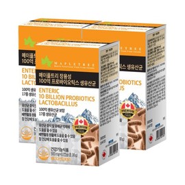 Mapletree 메이플트리 장용성 100억 프로바이오틱스 생유산균 60캡슐X3통 6개월분 Mapletree Jang Yongseong 10 Billion Probiotics Live Lactobacillus 60 Capsules x 3 Bottles 6-Month Supply