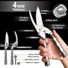 WILDMOK High Performance Poultry Shears - 21 cm Multifunctional Stainless
