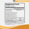 Visible Science Probiotic Formula – Probiotic Strains – Gut, Digestive