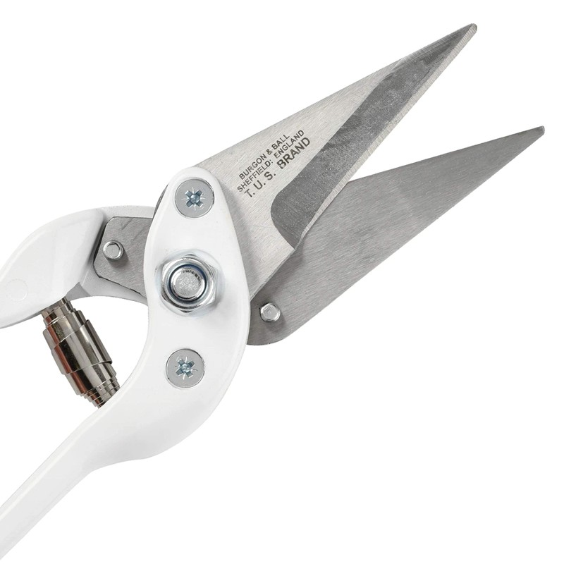 Horizont Burgon & Ball Classic Footrot Shears, Stainless Steel, 1