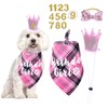 Dog Birthday Outfit - Birthday Hat Crown with Numbers, Dogs