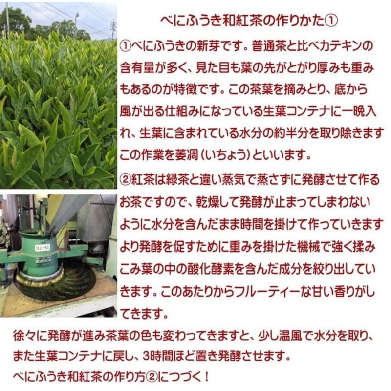 PON店 伊勢の和紅茶 ティーバッグ 30個入 チャック付き 袋入 紅茶 ギフト おしゃれ 紅ふうき