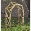 Georgetown Home and Garden Fiddlehead Fairy Garden Brown Wood Twig