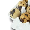 Pack of 25 Quail Egg Boxes Cardboard Pack of 18