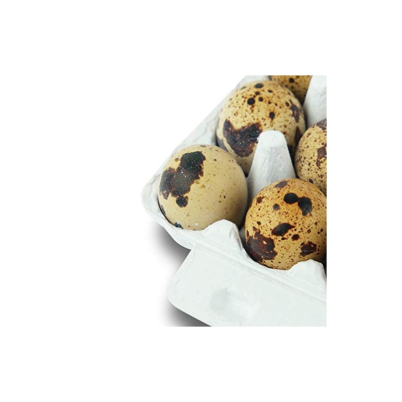 Pack of 25 Quail Egg Boxes Cardboard Pack of 18