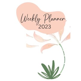 CALENDAR 2023 PLANNER LARGE DESKTOP SIZE: Monthly Yearly Weekly Daily Calendar with Holidays Password Birthday Log Daily Reminders Annual Planner Weekly Checklist