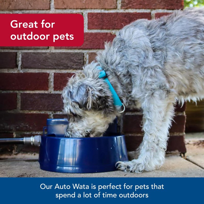 Coastal Pet Bergan Auto-Wata - Outdoor Dog & Cat Water