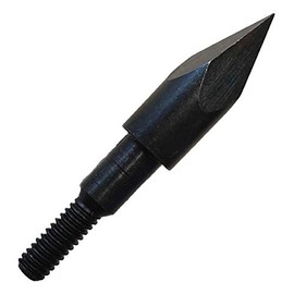 BSW - BogenSportWelt Pack of 10 X-Bow FMA Tips 5/16 Inch 100 g for Cobra System, Cobra R9 + R10 & Cobra Adder Carbon Bolts