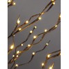 LIGHTSHARE 5Ft 200L Lighted Star Light,Warm White, Brown Branch
