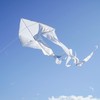 In the Breeze 3356 — White 77" Wave Delta Kite