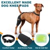Dollephi Dog Knee Brace for Torn ACL Hind Leg, Hot/Cold