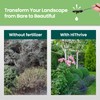 16oz Tree and Shrub Plant Food - Makes 16 Gallons
