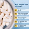 Capsuline Size 4 - Clear Empty Gelatin Capsules - 1000