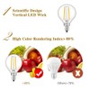 Lxcom Lighting G14 2W E12 LED Bulb G45 Globe Filament