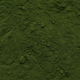 Chlorella Spirulina Powder Organic 500 g - Algae Blend - Vegan - Chlorella Vulgaris Algae - Bottled and Controlled in Germany Biotiva