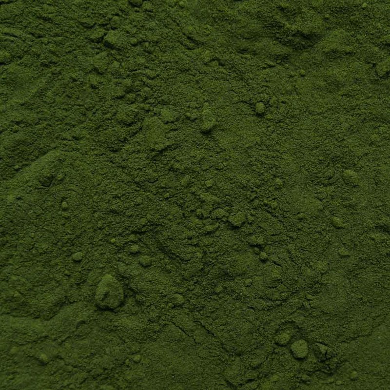 Chlorella Spirulina Powder Organic 500 g - Algae Blend -