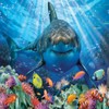 Grandi Giochi PUW00000 squalo Bianco Discovery White Shark Horizontal Lens