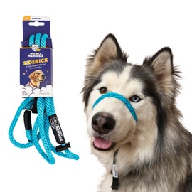 Heather's Heroes Sidekick Dog Headcollar with Leash - Sidekick Leash for Dogs, Effective Dog Training Tool for Leash Reactivity and Behavior Issues (Regular (3/8"), Turquoise)