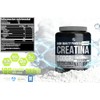 Holix LAB - Creatina Monohidratada - 500 grs, rinde hasta