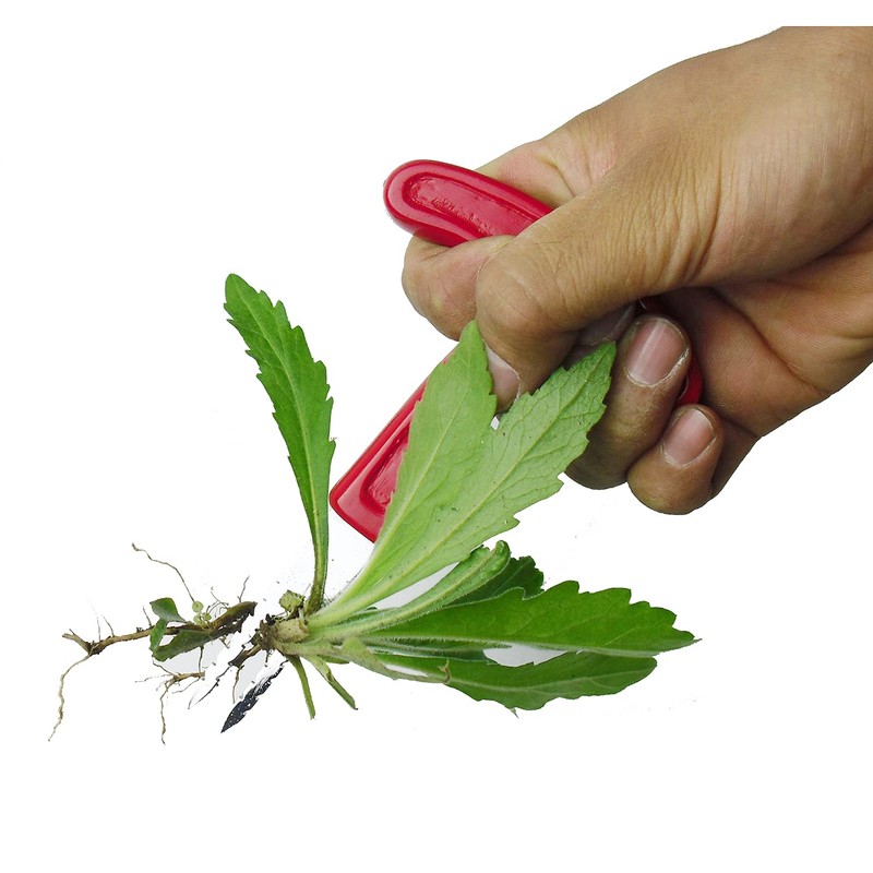 Grass out Taro, Handy/62 – 3971 – 78