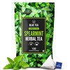 BLUE TEA - Spearmint Tea - 100 Count - Pyramid