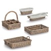 Zeller 14179 Tray Willow