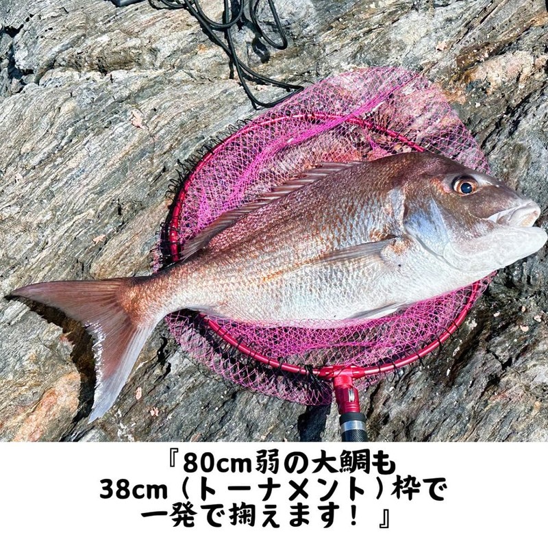 昌栄(Siyouei) Ultra Frame Extreme Ver.2 with Net, Tournament Model, Frame